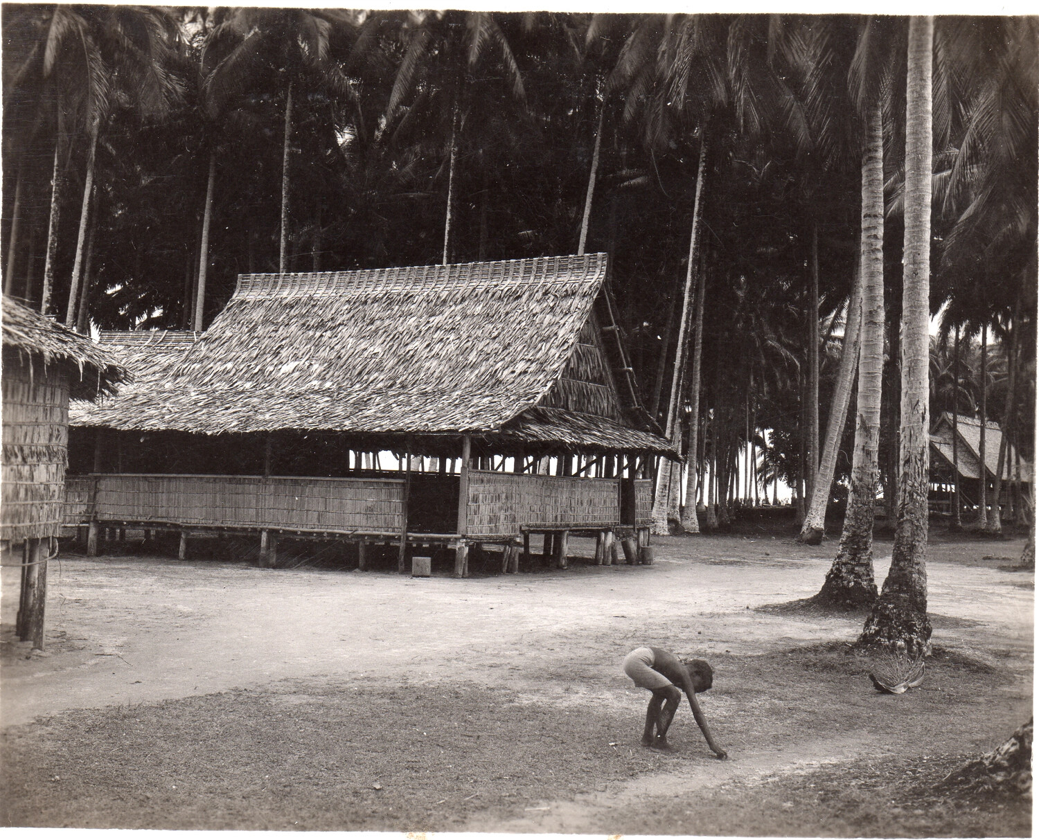 Pacific Island Village Scene with Thatched Longhouse, WWII Era