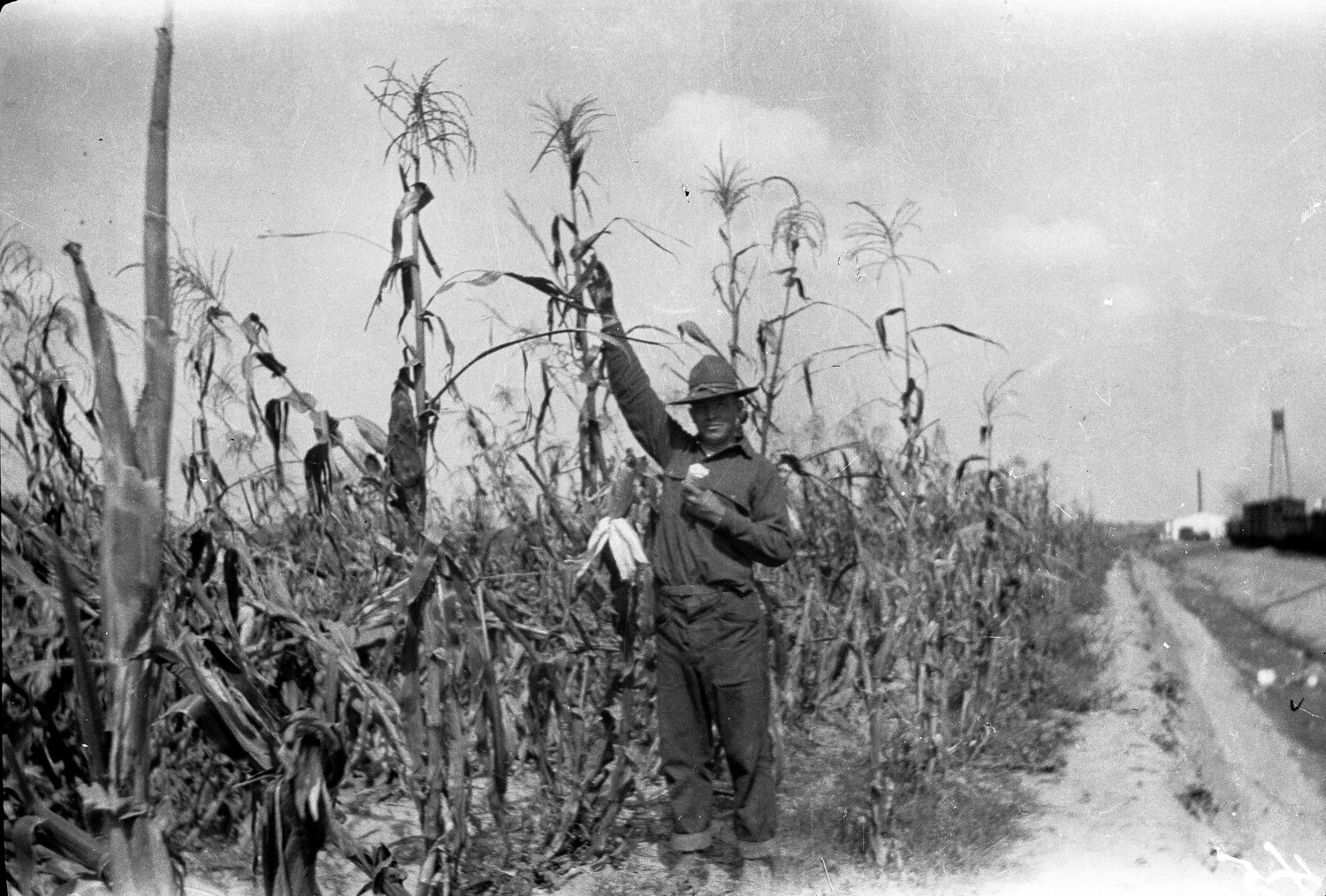 Man Harvesting Corn in Field Near Scott Field, Illinois, WWI Era