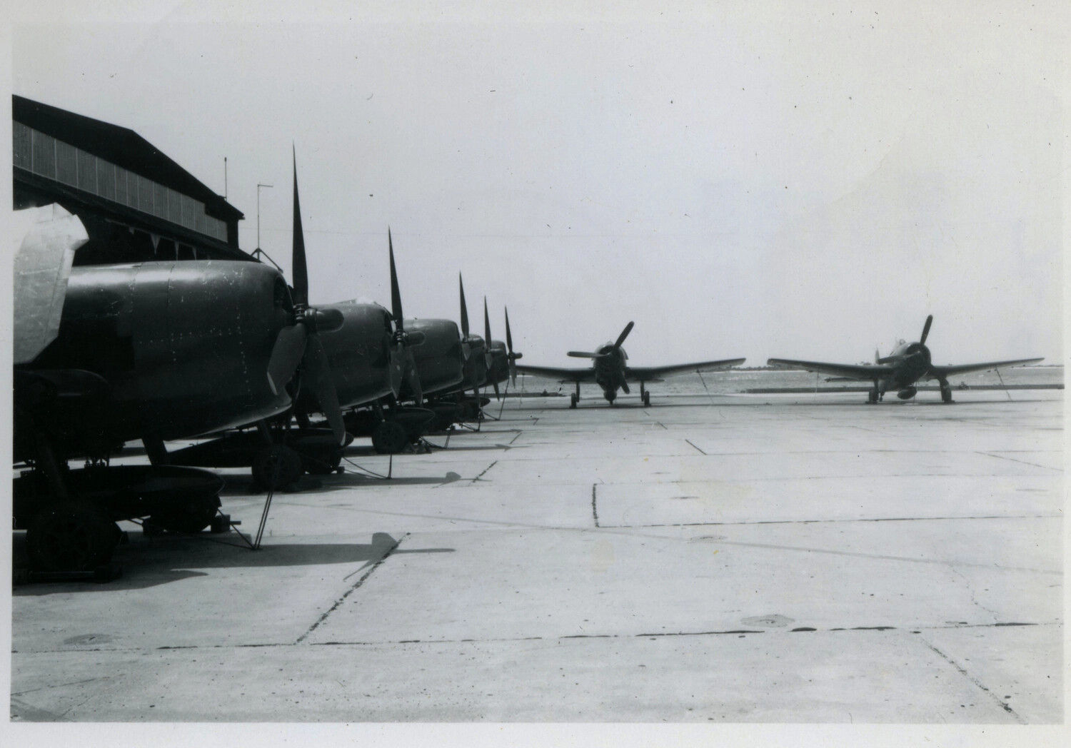 Row of Naval Aircraft on the Flight Line, NAS Pensacola, Early 1950s