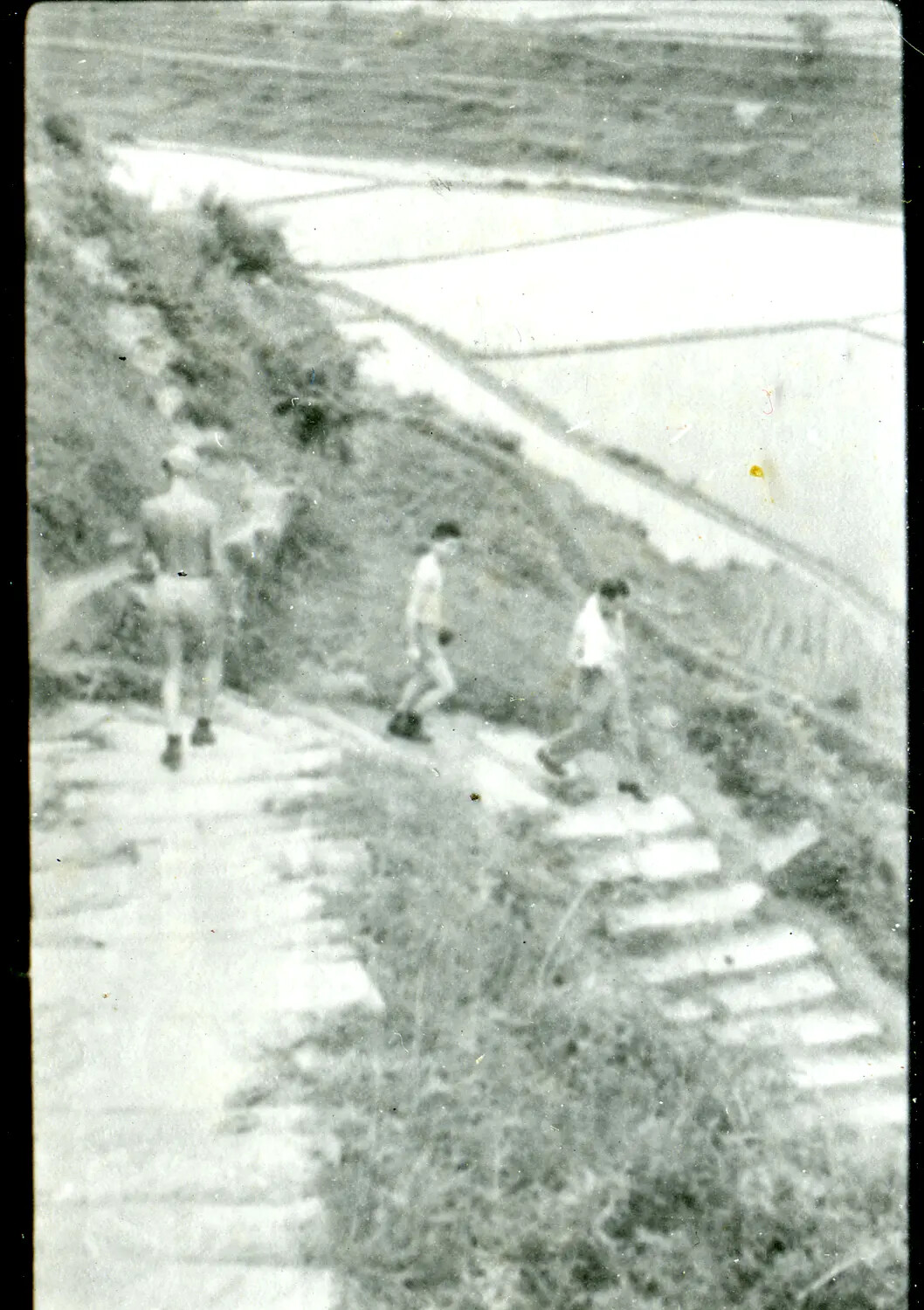 Servicemen Descending Hillside Steps Above Rice Paddies, China-Burma-India Theater, WWII