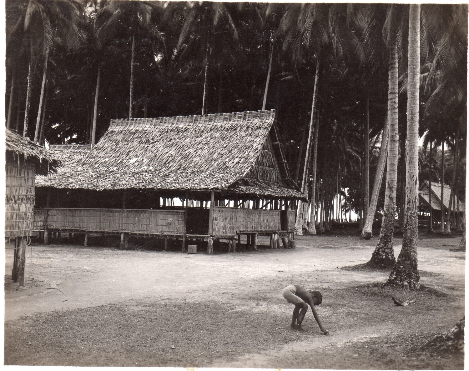 Pacific Island Village Scene with Thatched Longhouse, WWII Era (Companion Image)