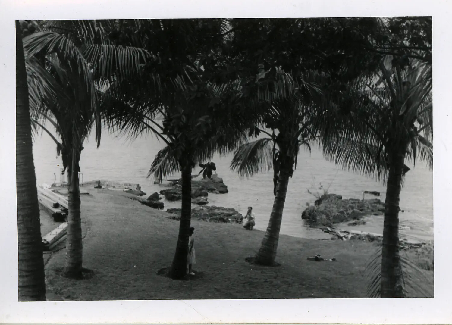 Tropical Shoreline with Palm Trees and Figures, Hawaii