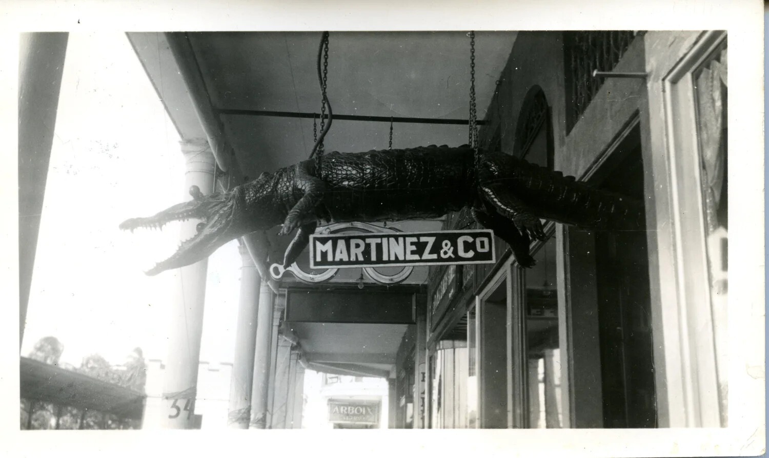 Stuffed Alligator Shop Sign, Front Street, Colon, Republic of Panama