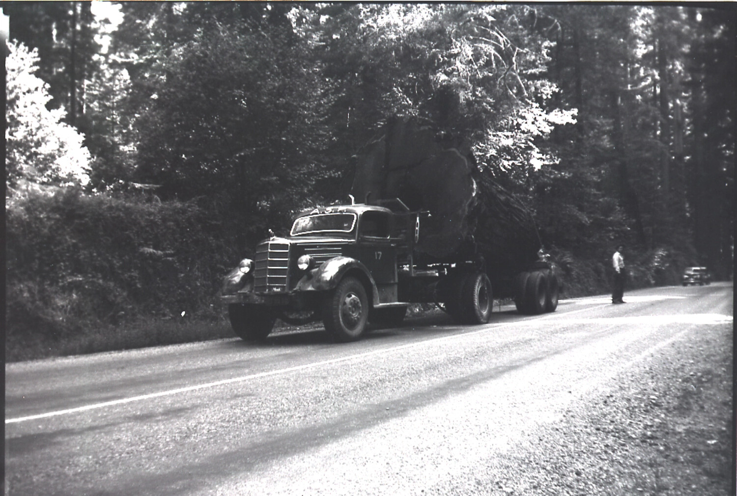 Logging Truck Hauling Old-Growth Timber, Pacific Coast Highway