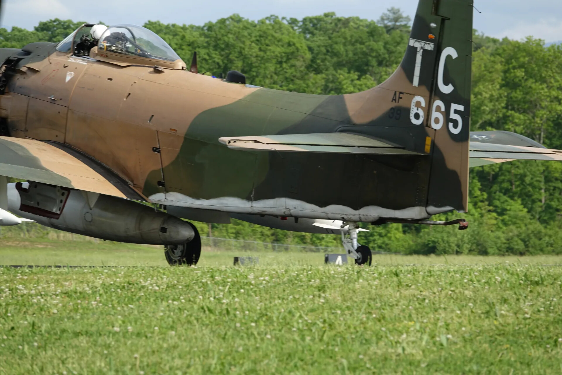 Restored A-1 Skyraider in Vietnam-Era Camouflage, Tail Code TC-665, Reunion Fly-In Event