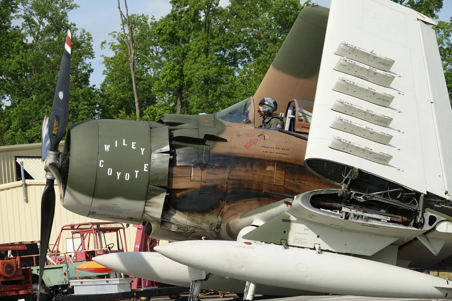 Douglas A-1 Skyraider 'Wiley Coyote,' Pilot LT COL Wiley, Detail View with Raised Wing, May 2019