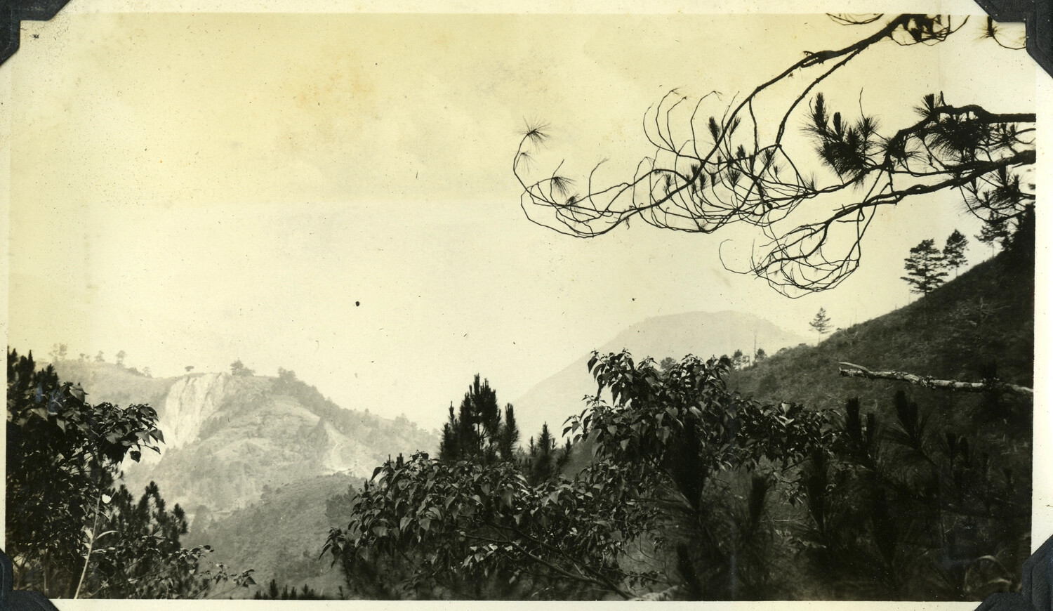Pine-Forested Mountain Landscape, Cordillera Region, Philippines, c. 1920s-1930s