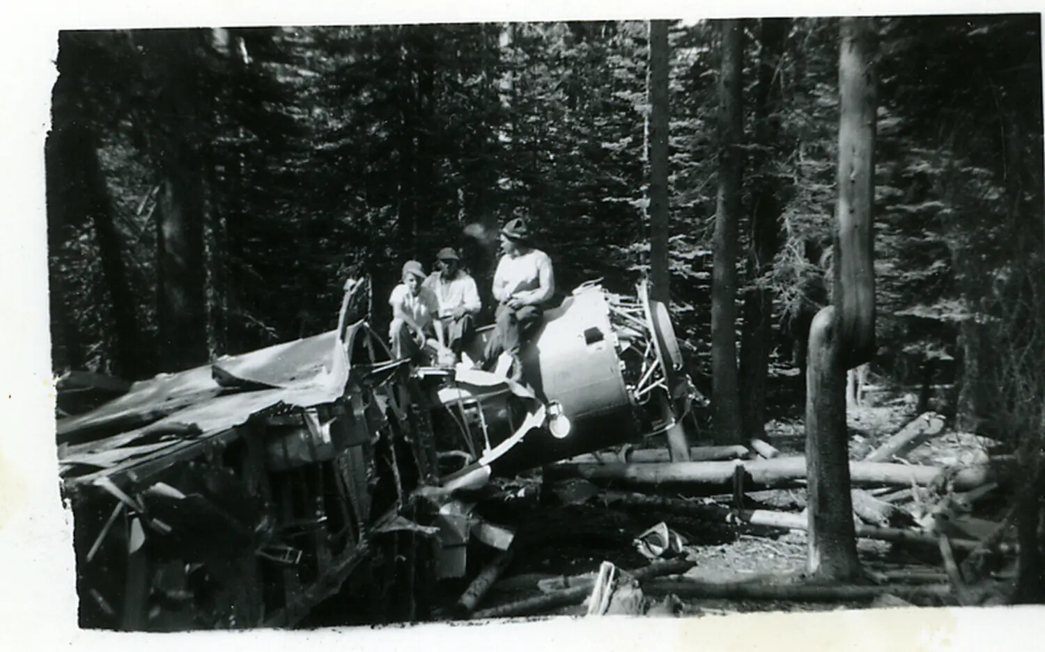 Wrecked Single-Engine Radial Aircraft in Forest, Wide View — Site and Date Unconfirmed