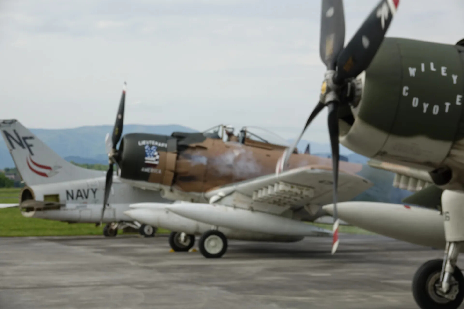 Close-Up of Three Restored A-1 Skyraiders, Including 'Willie Coyote' and U.S. Navy-Marked Aircraft, 2019 Event