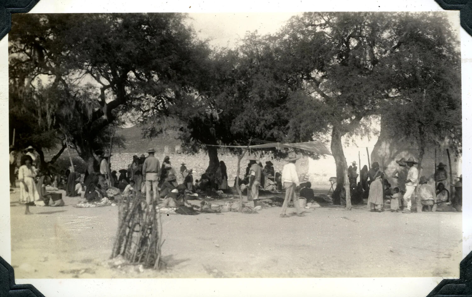 Outdoor Market Scene Beneath Oak Trees, Early 20th Century (Jervey Signal Corps Album)