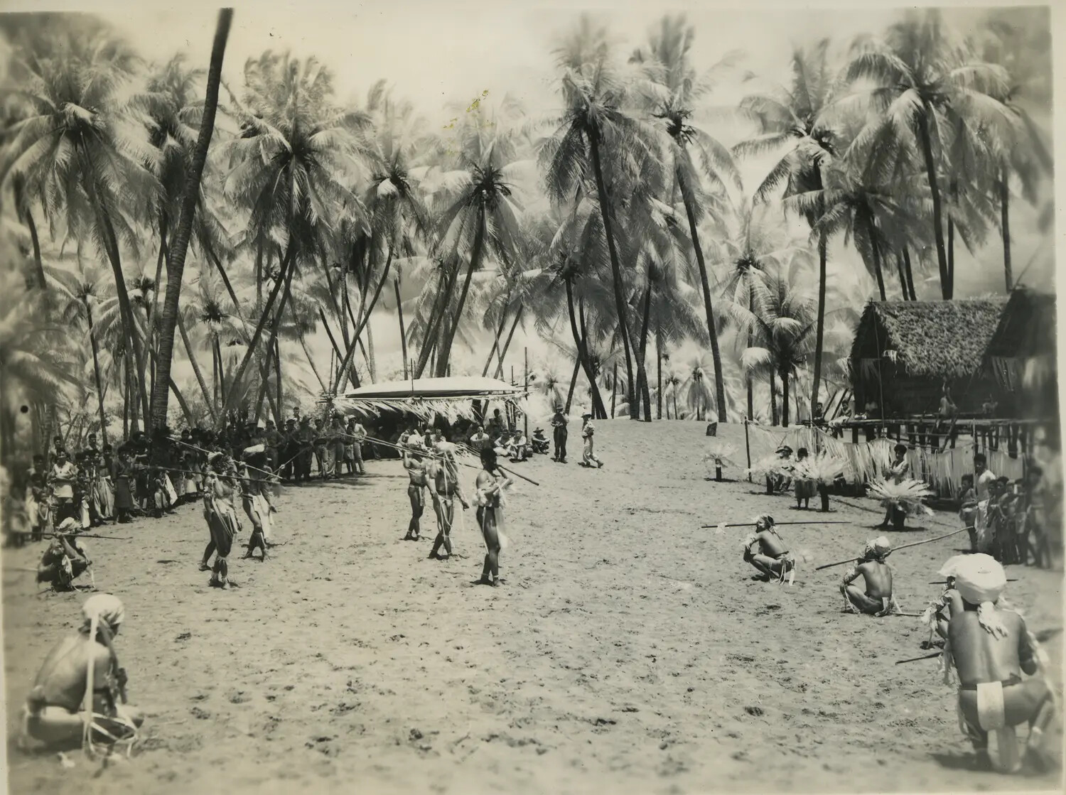 Native Ceremonial Dance or Performance in a Coconut Grove, Pacific Islands