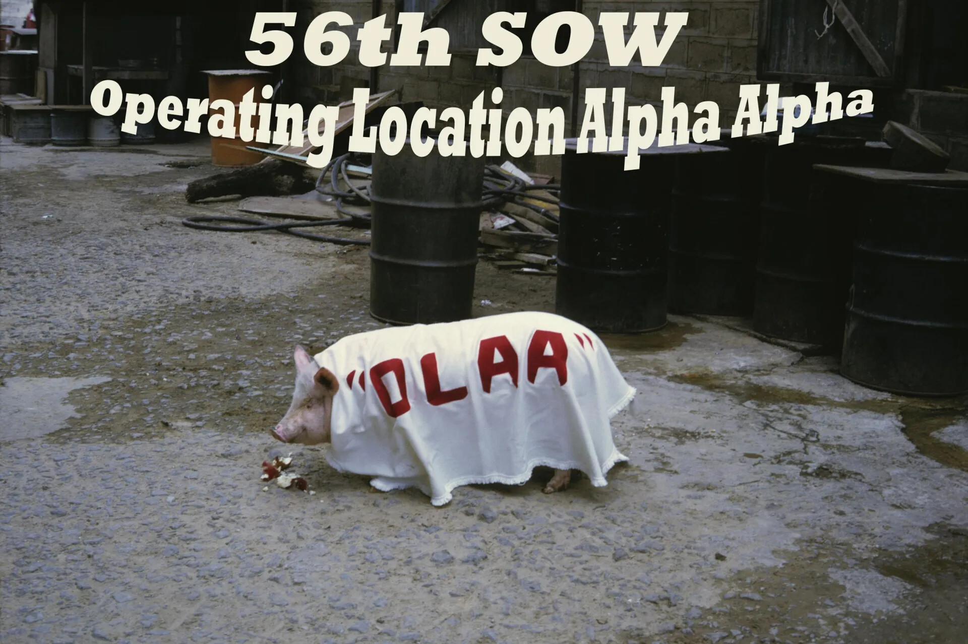 '56th SOW / Operating Location Alpha Alpha' — Banner Design Working File Combining a Vintage Unit Mascot Photograph with Overlaid Typography