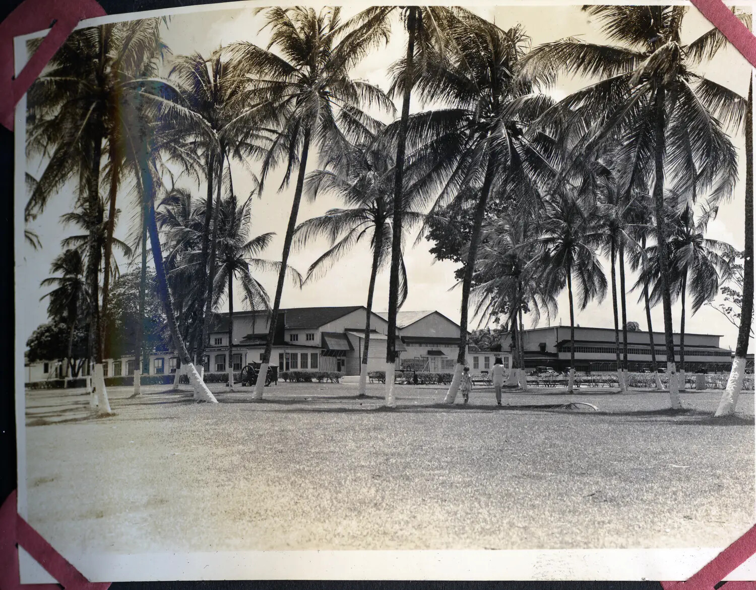 Palm-Lined Parade Ground and Administrative Buildings, U.S. Military Installation, Panama Canal Zone, WWII Era