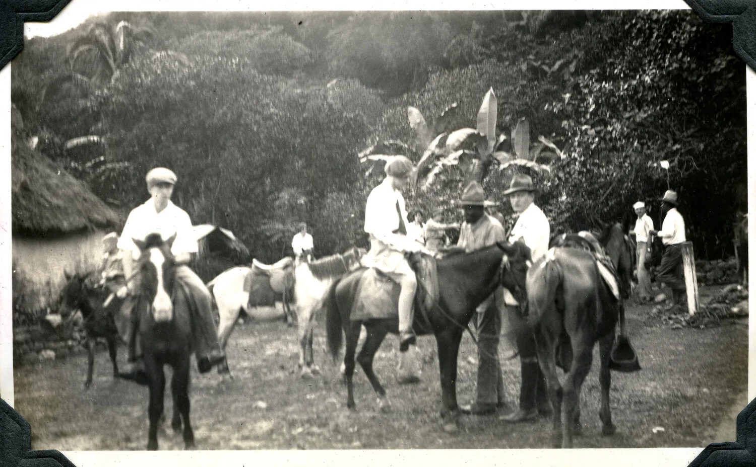 Horseback Riding Party in Tropical Setting, Jervey Signal Corps Photo Album