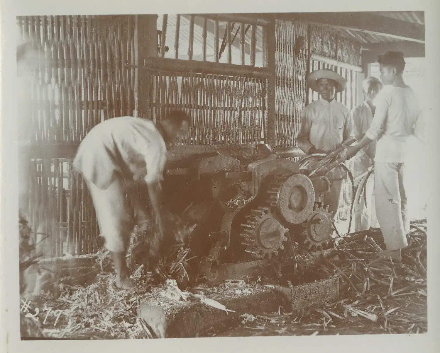 Sugarcane Crushing Mill Operated by Filipino Workers, Philippines, c. 1898-1910