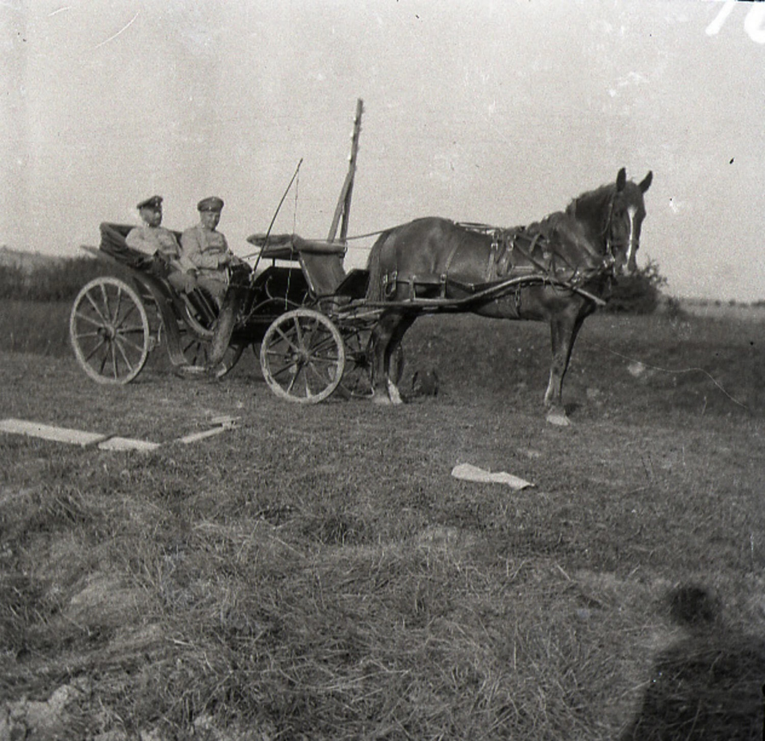 German Officers in Horse-Drawn Carriage, World War I