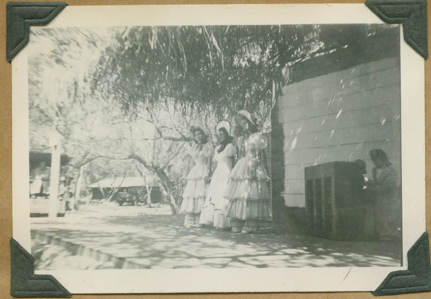 Costumed Women Beneath Shade Tree, Hawaii WWII Photo Album
