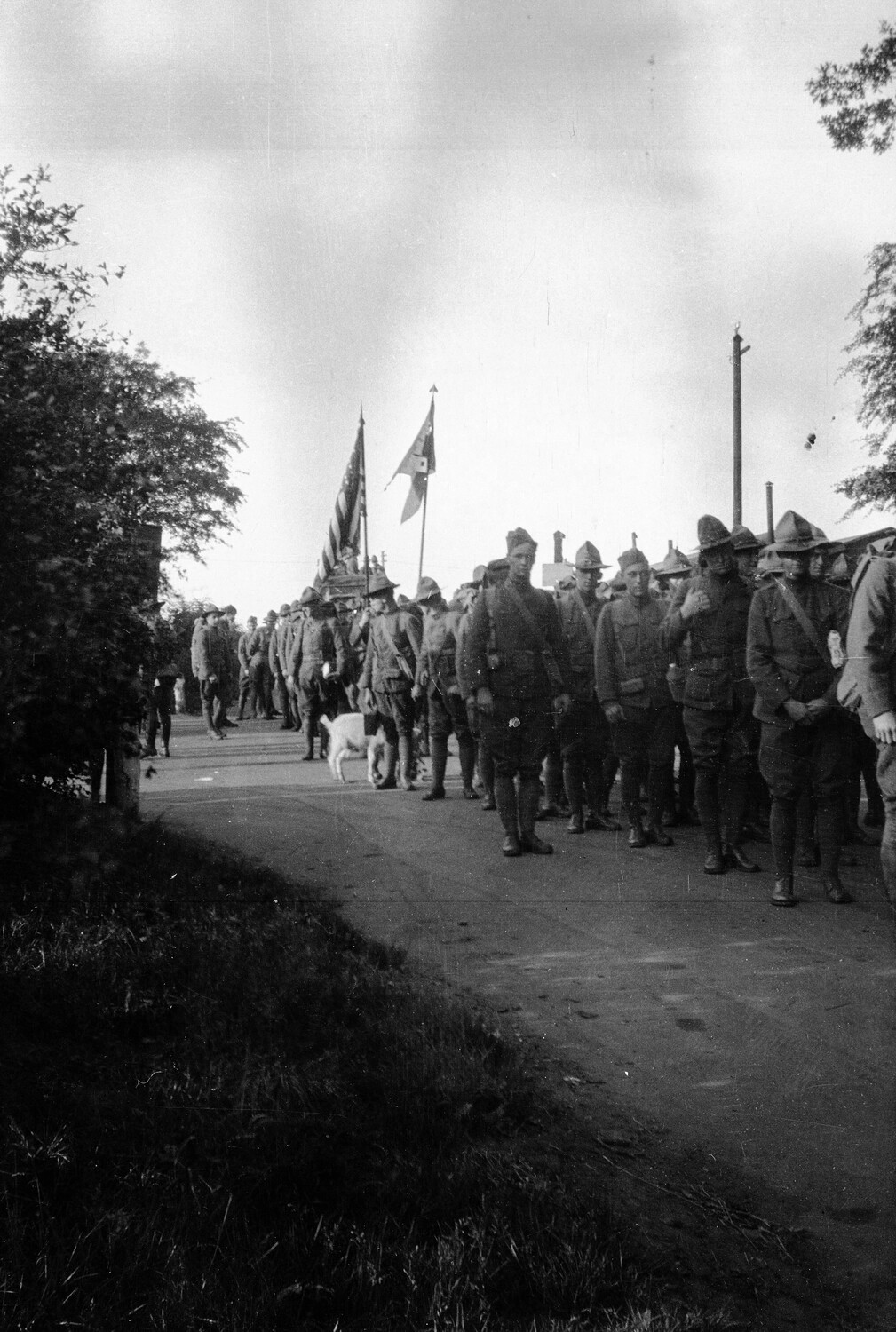 American Expeditionary Forces Column on the March with Colors and Mascot, WWI France