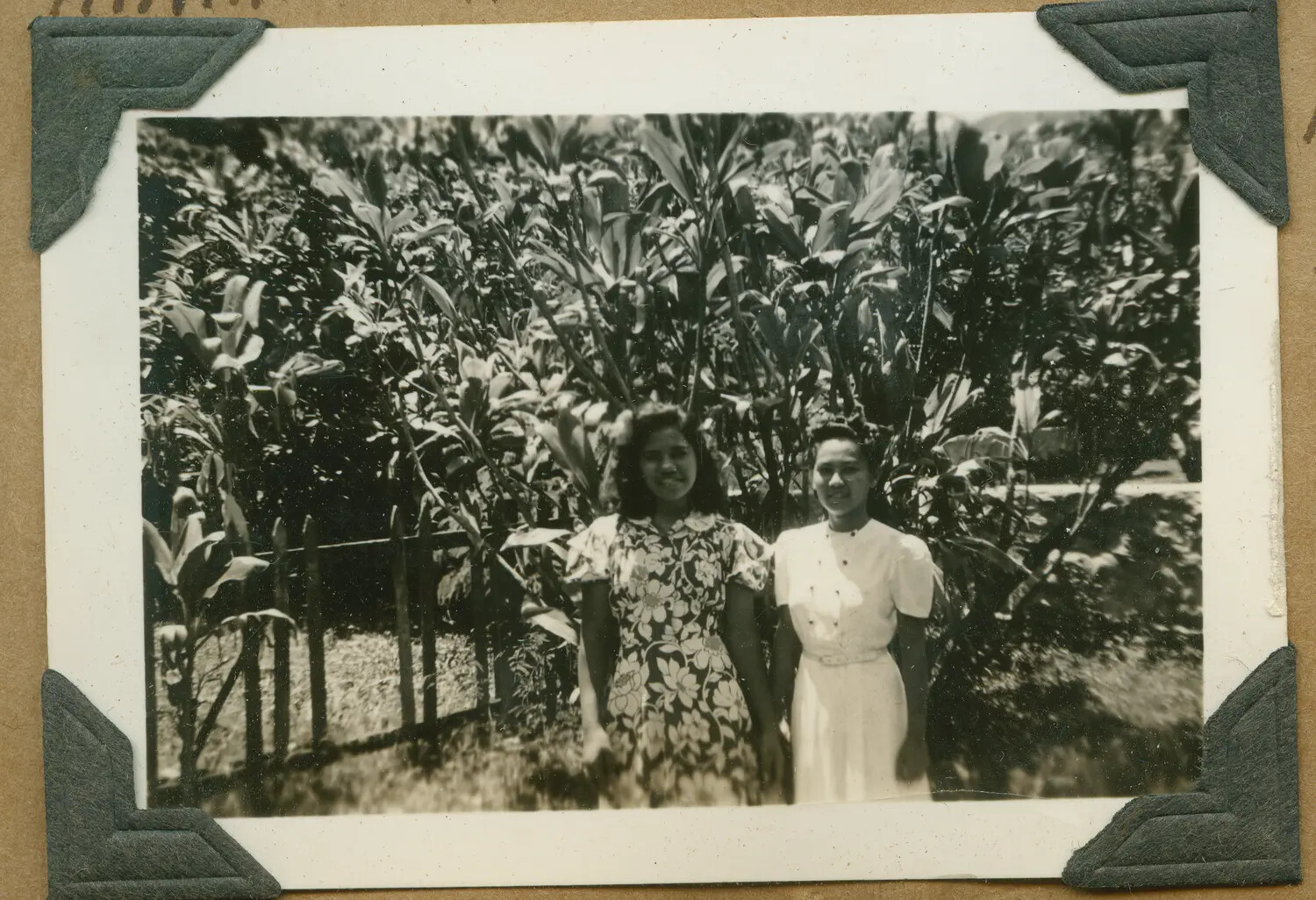Two Young Women in a Garden, Hawaii, World War II Era