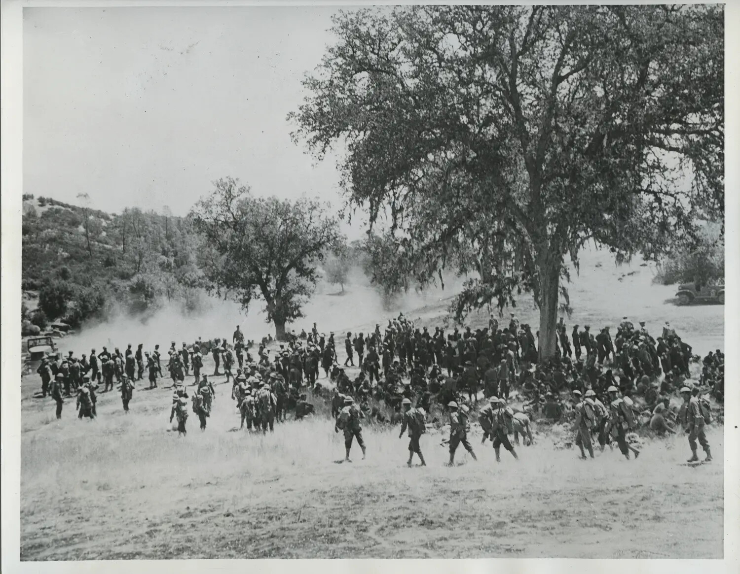 Massed Troops Resting Under Oak Trees During Field Maneuvers, California