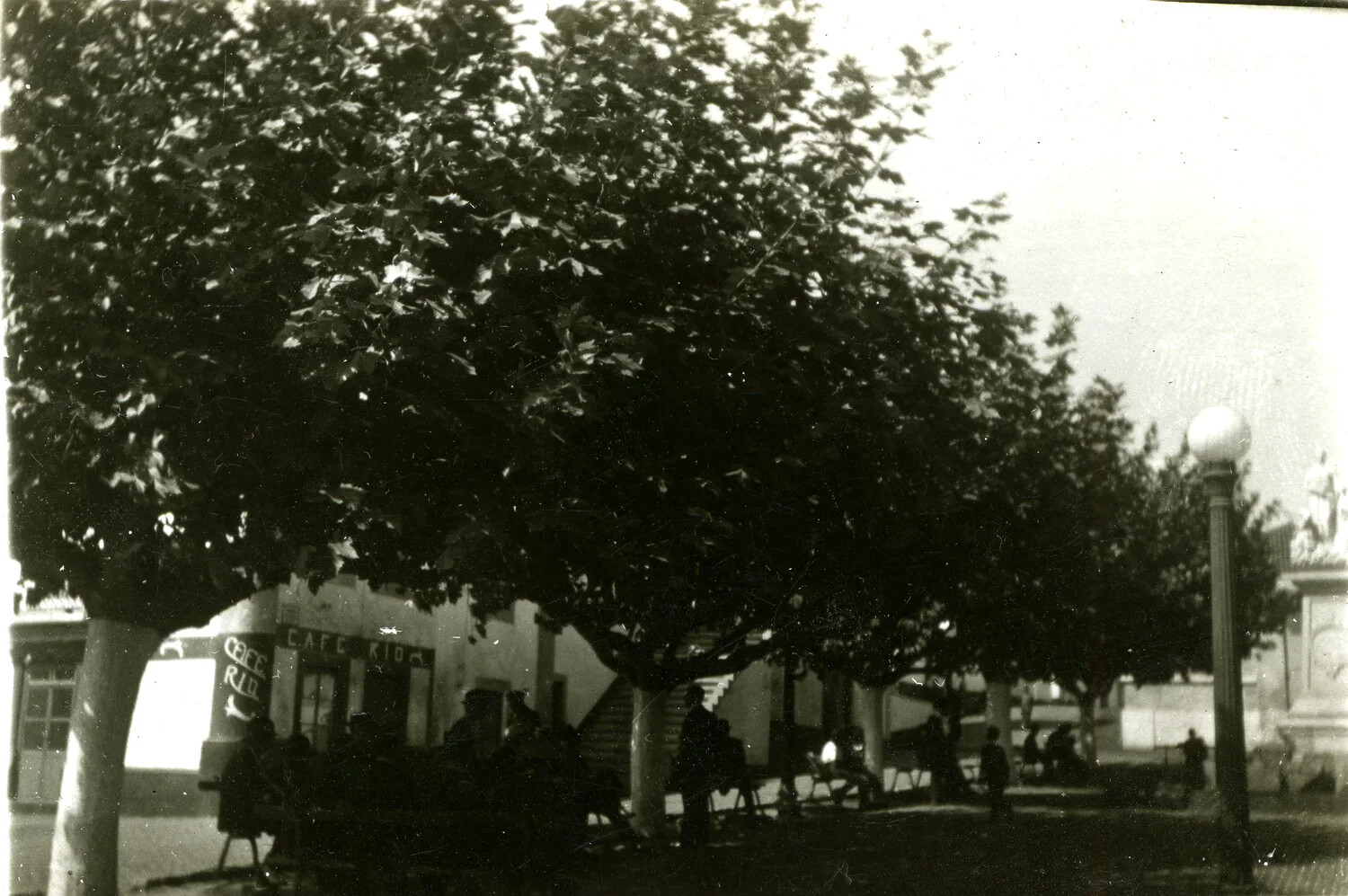 Sidewalk Café Beneath Shade Trees, European Town Square, 1946
