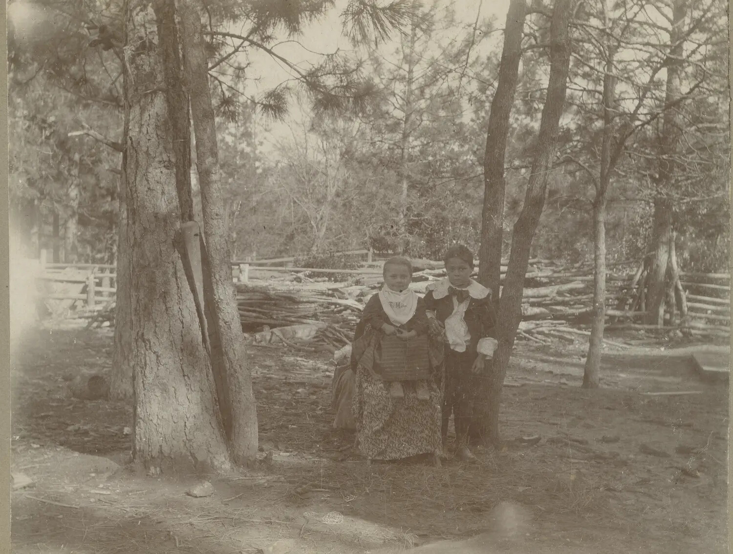 Two Children in a Pine Forest Setting, United States, c. 1890s-1900s