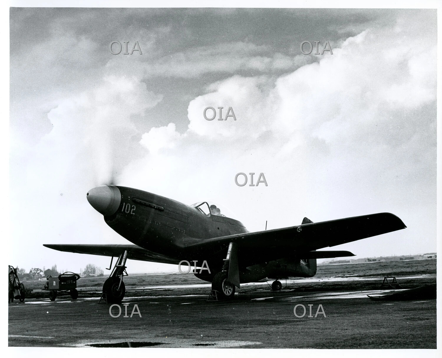 North American P-51 Mustang Fighter Aircraft, Nose No. 102, on Ramp (8x10 Archival Print)