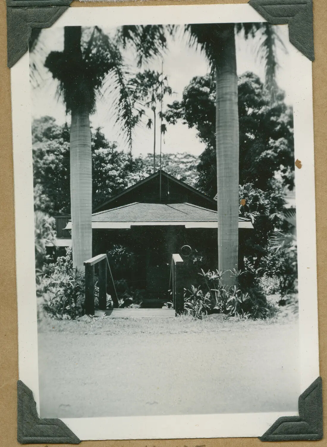 Snapshot of a Bungalow Framed by Palm Trees, Hawaii Photo Album