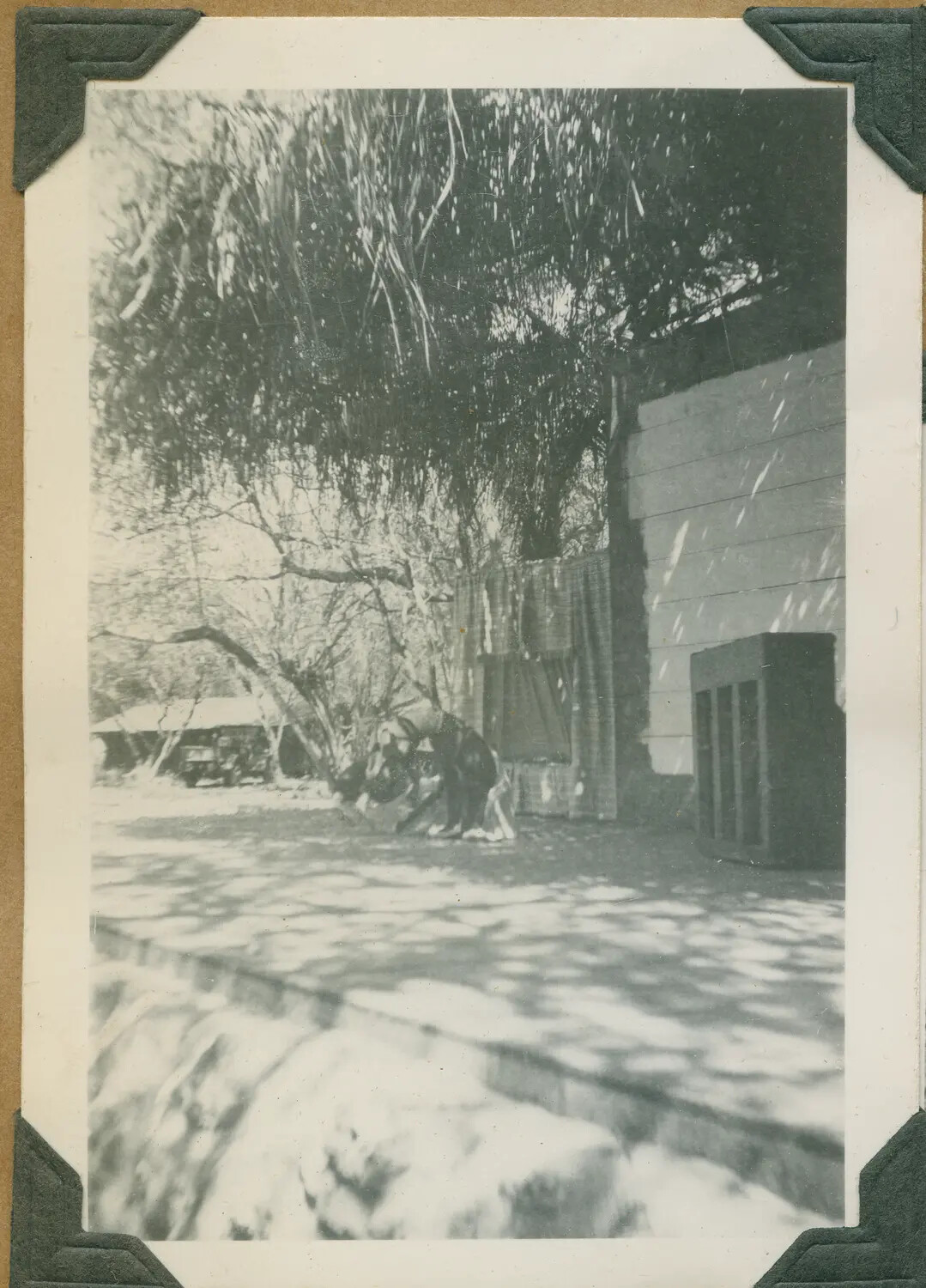 Outdoor Stage Area with Curtain Backdrop, Likely Ewa Plains USO Site, Oahu, WWII Era