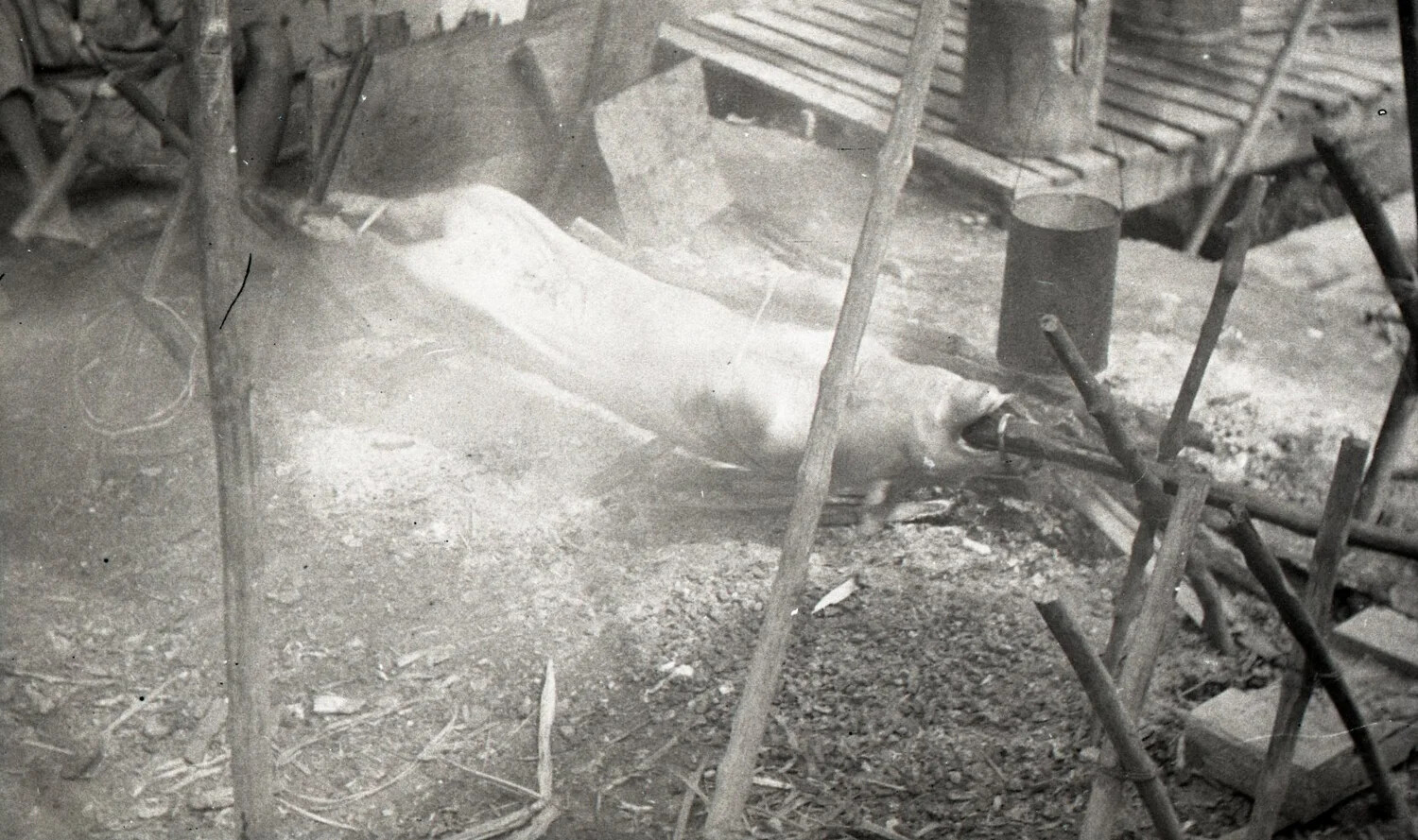 Lechon (Whole Roast Pig) on Spit, Alternate View, Rural Philippine Barrio, WWII Era