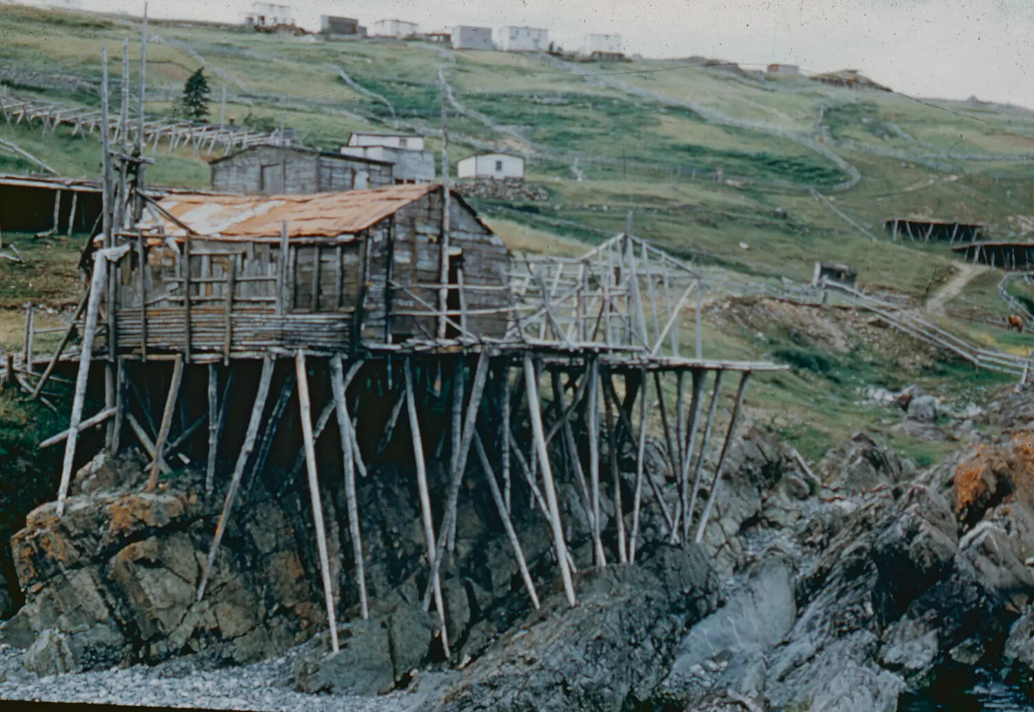 North Atlantic Fishing Stage on Stilts, Coastal Outport Near Thule AFB Transit Route, c. 1950-1955