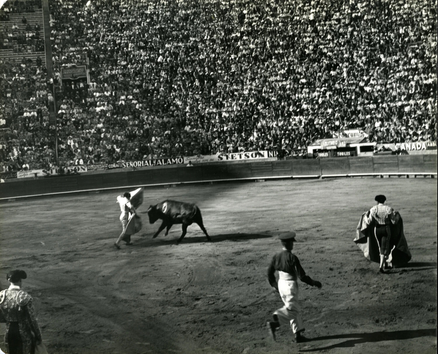 Matador Executing a Cape Pass on a Charging Bull, Mexico City Bullring, 1949