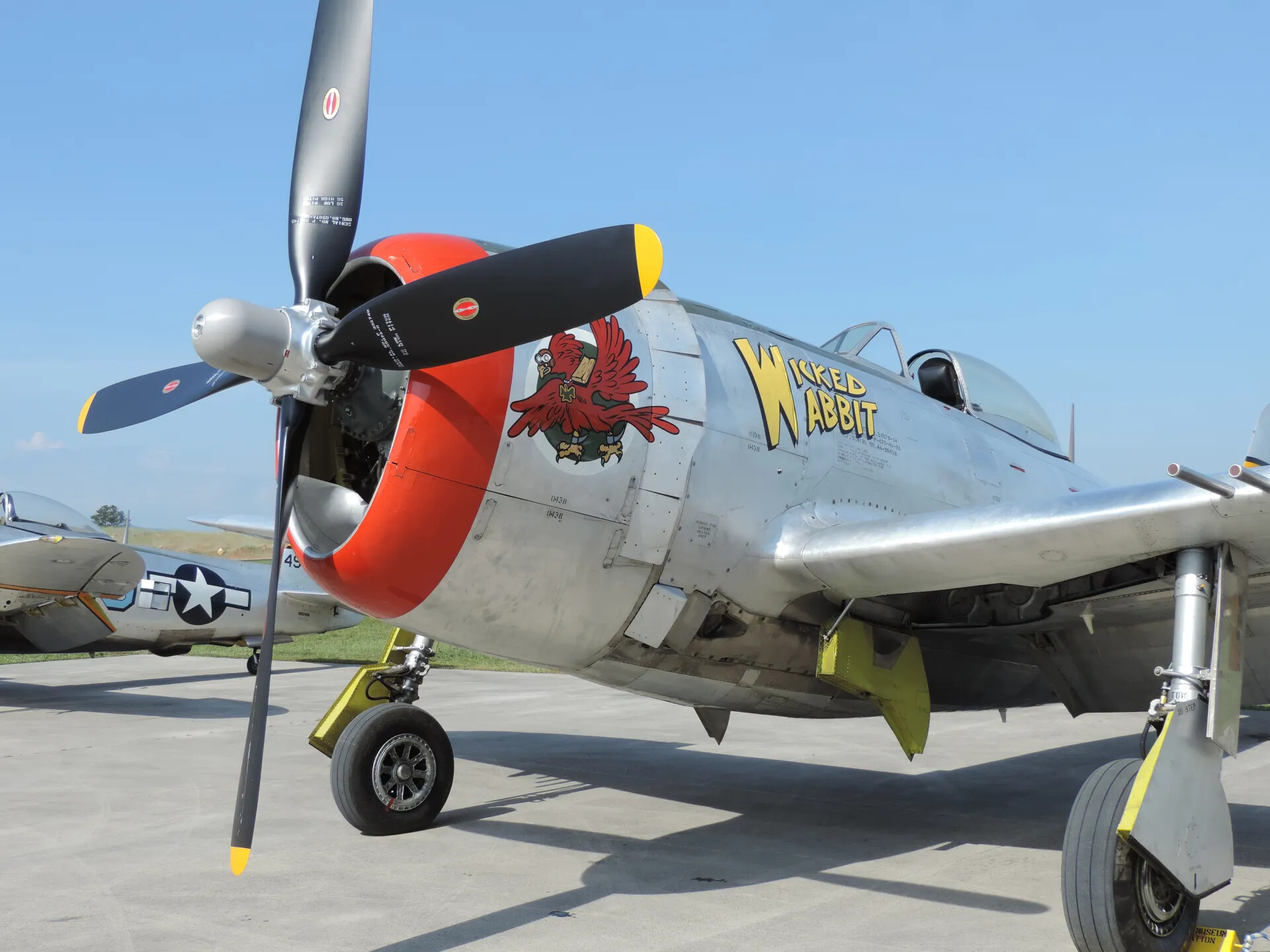 P-47 Thunderbolt "Wicked Wabbit" - Nose Art and Data Stencil Detail