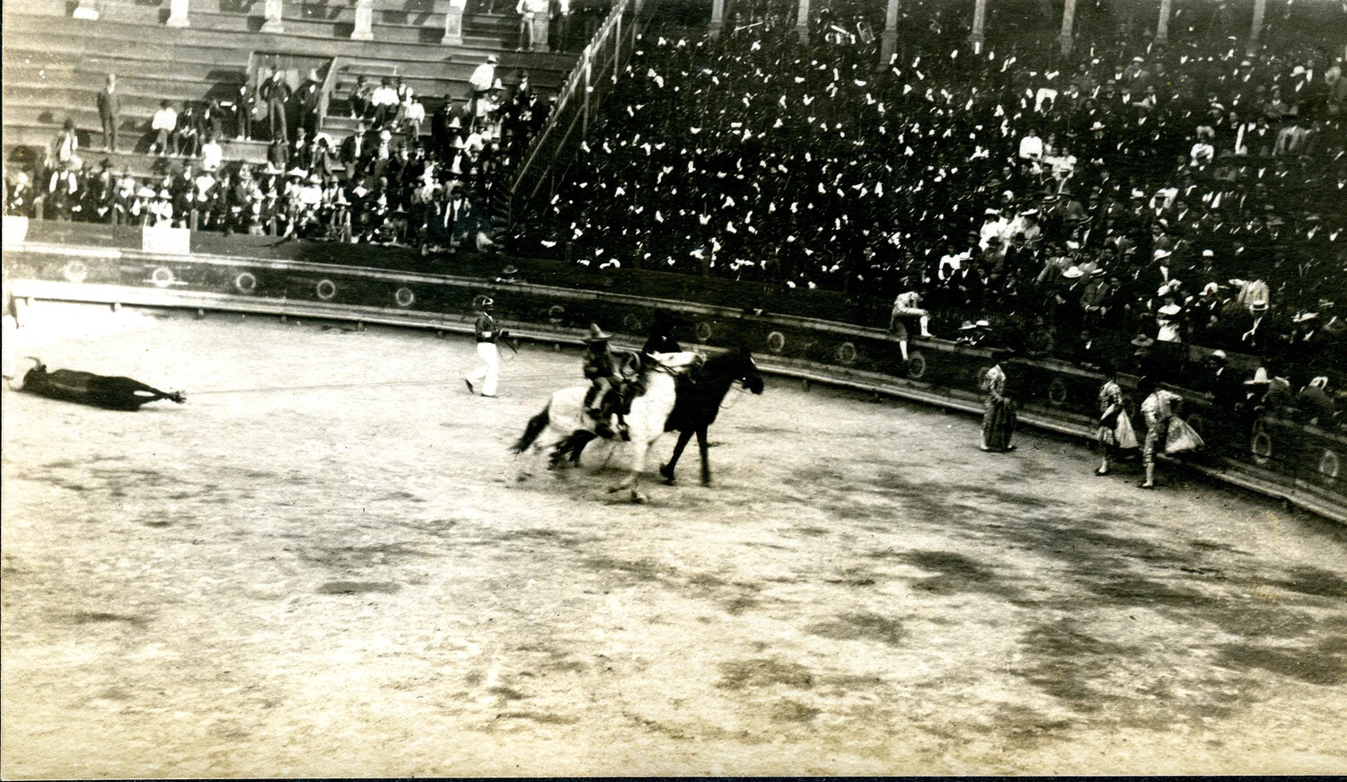 Aftermath of a Bullfight, Dead Bull and Horsemen in a Mexican Arena