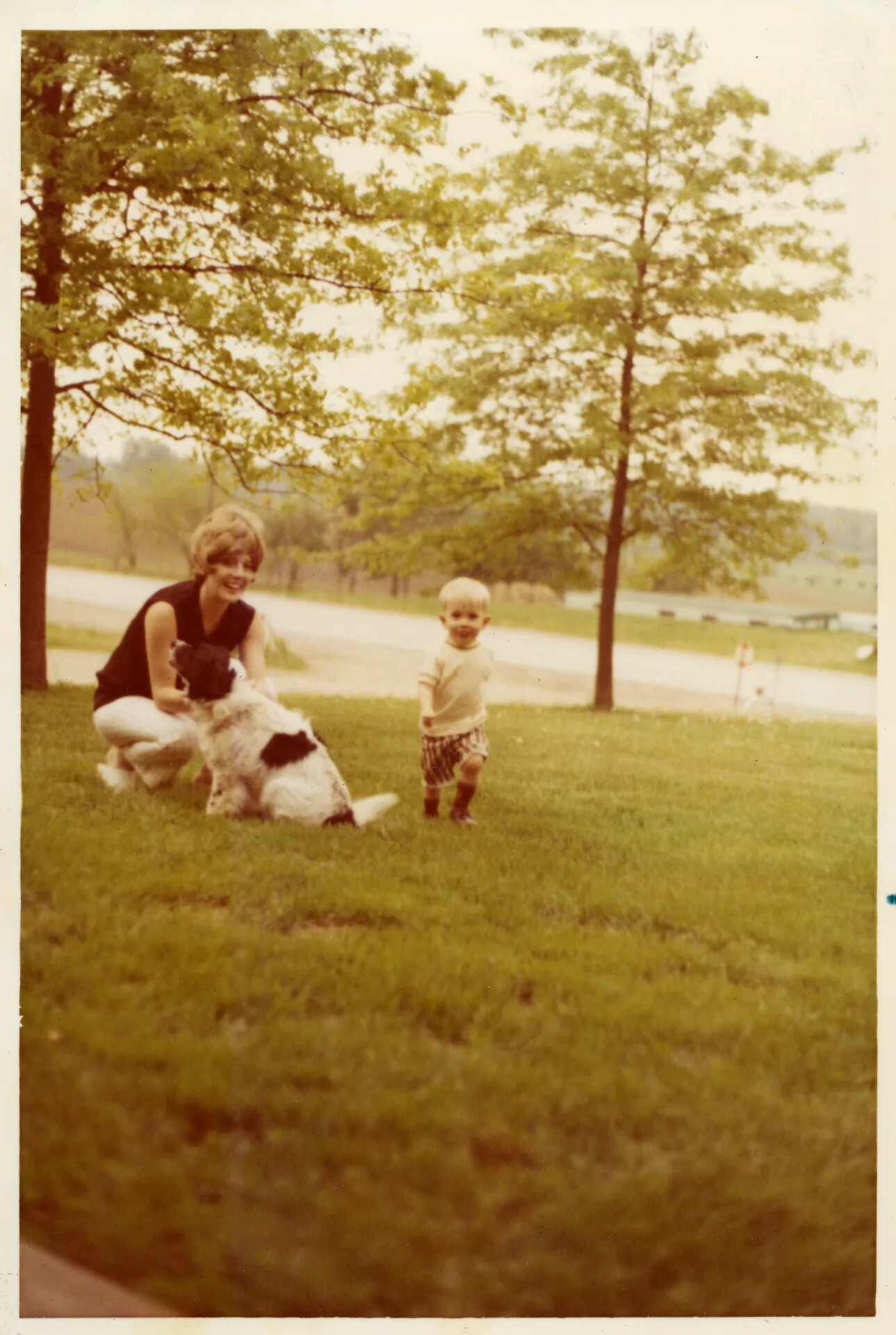 Woman, Toddler, and Dog on Lawn — Family Snapshot