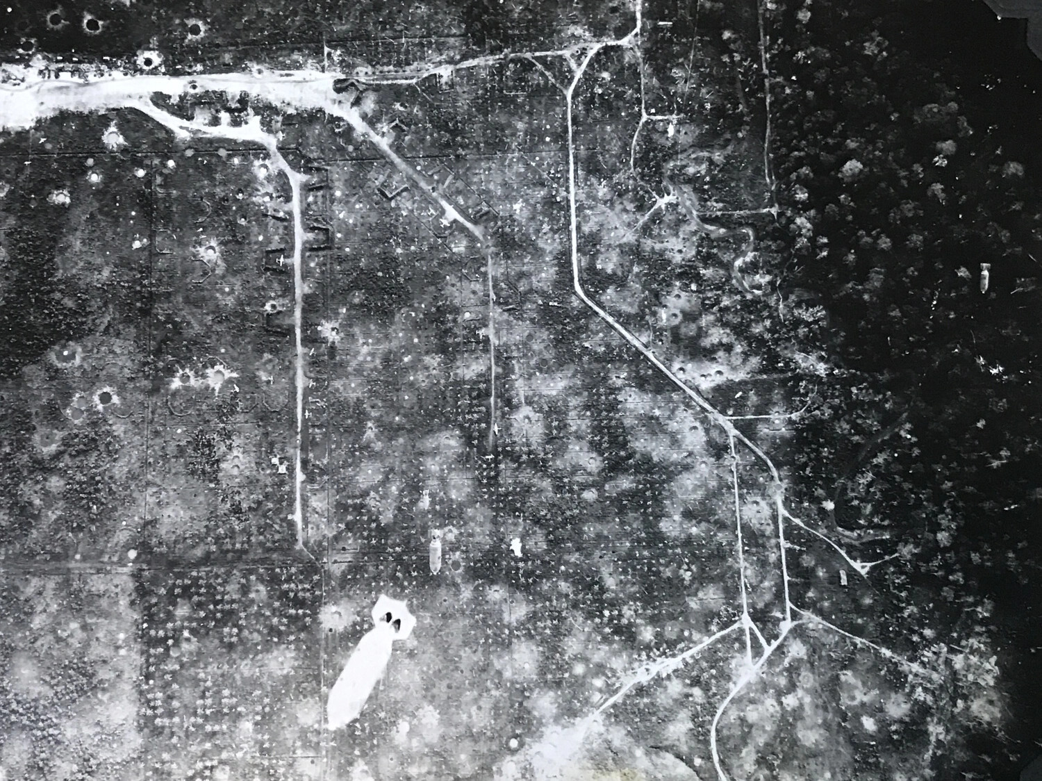 Aircraft Revetments in Coconut Plantation, Wewak Area, New Guinea