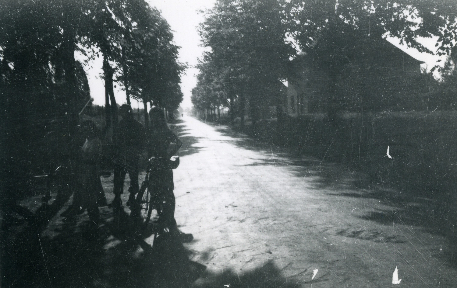 Soldiers with a Bicycle on a Tree-Lined Country Road, European Theater