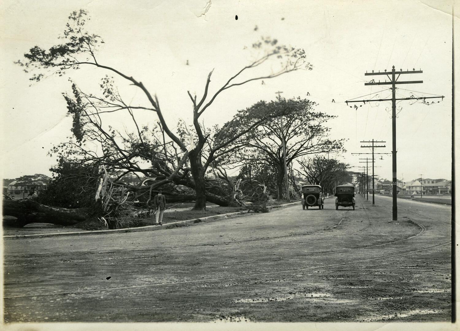 Typhoon Storm Damage, Uprooted Trees Along Manila Boulevard, Philippines, Early 20th Century