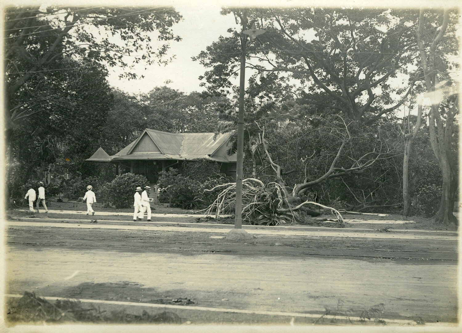 Storm-Damaged Tree and Colonial Bungalow After Typhoon, Philippines, Early 1900s