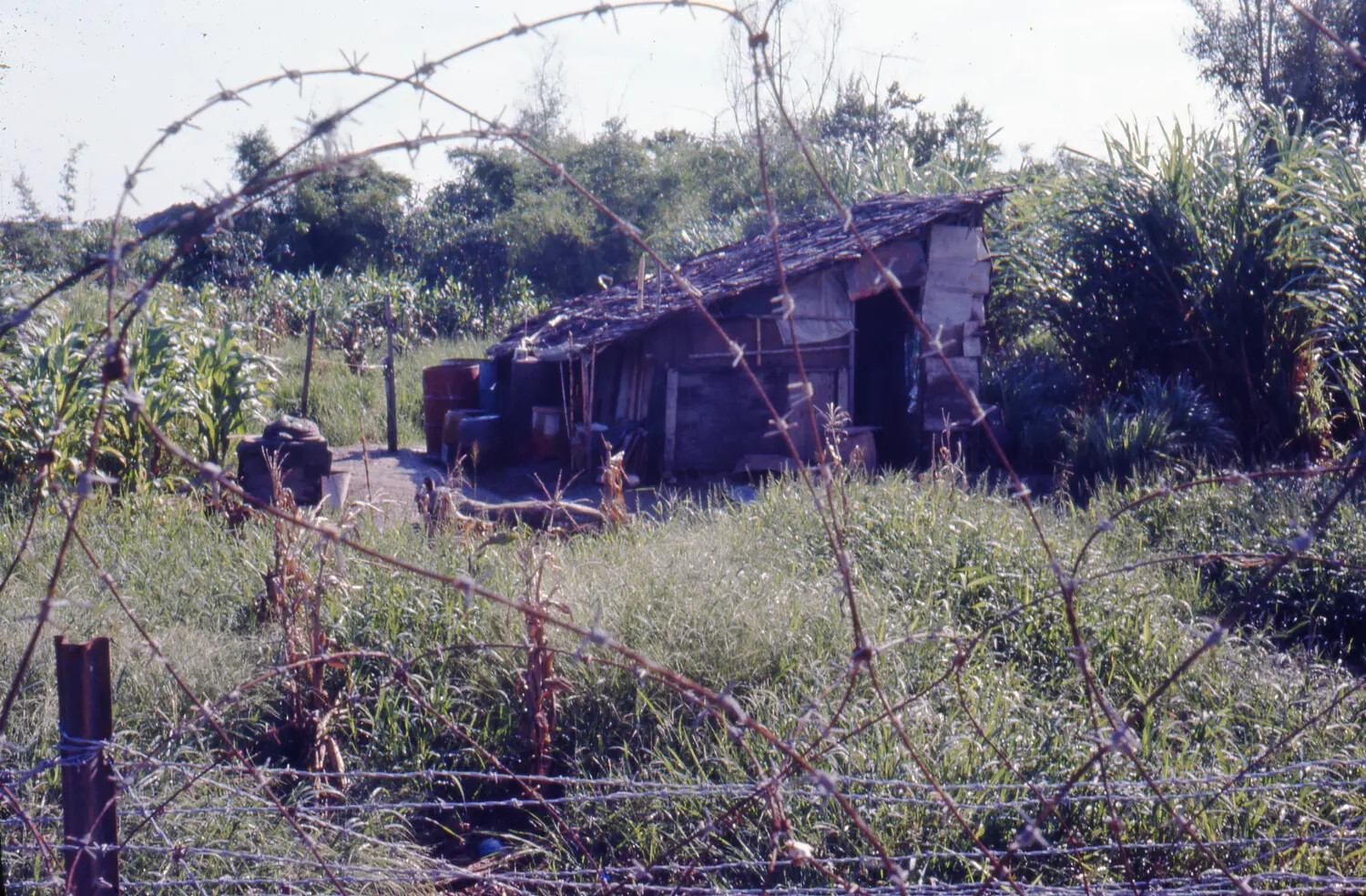 Rural Vietnamese Dwelling Viewed Through Barbed Wire Perimeter, Vietnam War-Era Color Slide