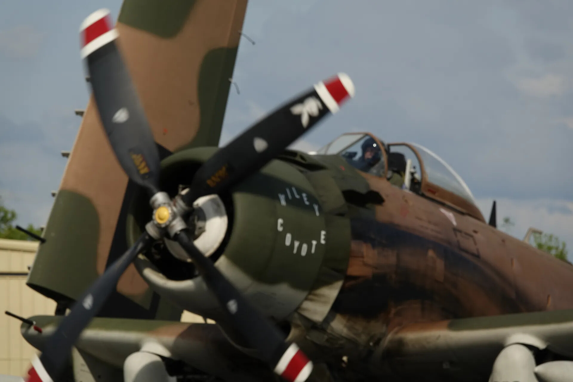 A-1 Skyraider "Wiley Coyote" Nose Detail with Pilot in Cockpit, May 2019 Event
