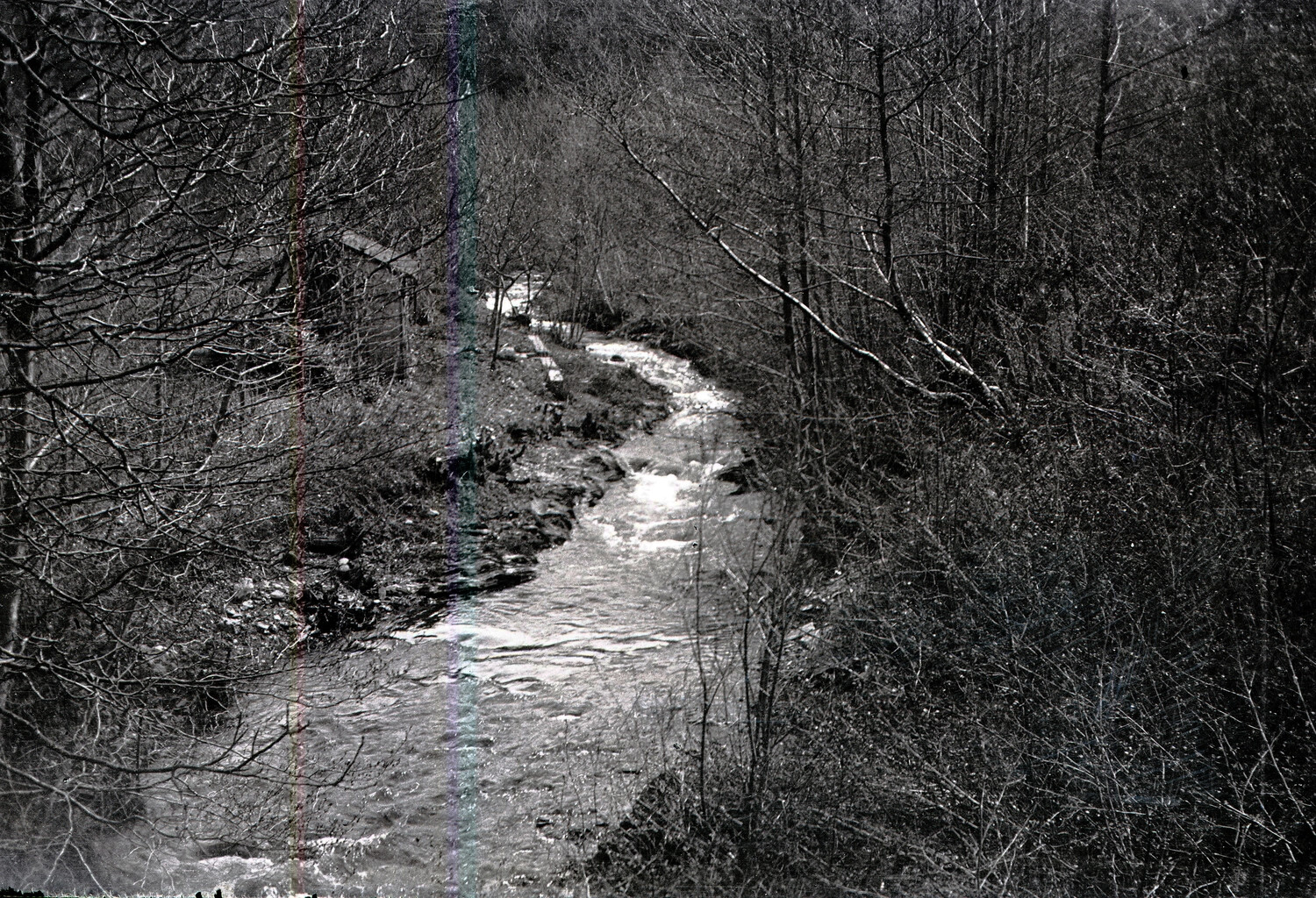 Wooded Streamside Landscape, France, World War I Era