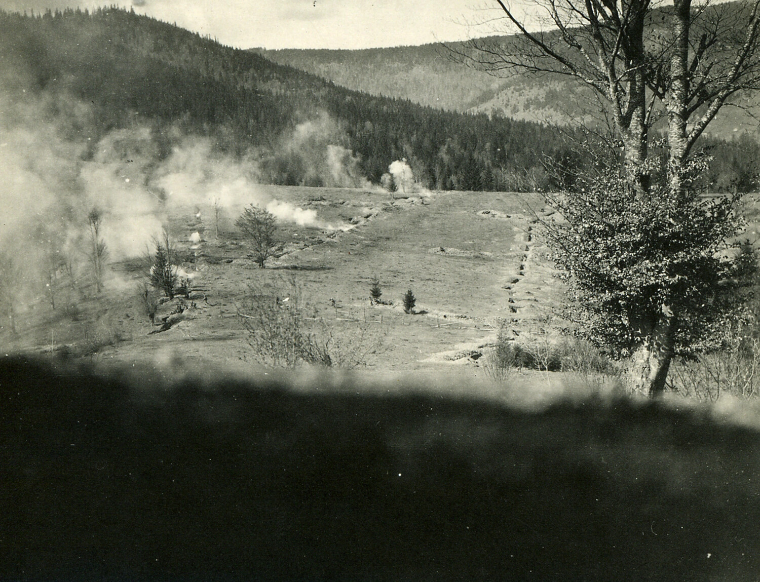 Artillery Bombardment in a Wooded Valley, World War I