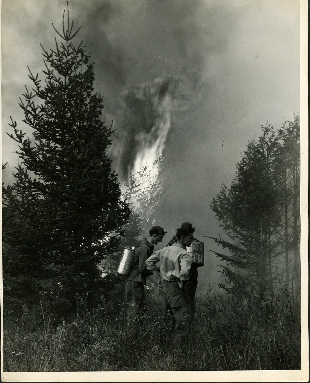 Firefighters Battling a Forest Fire with Backpack Pumps