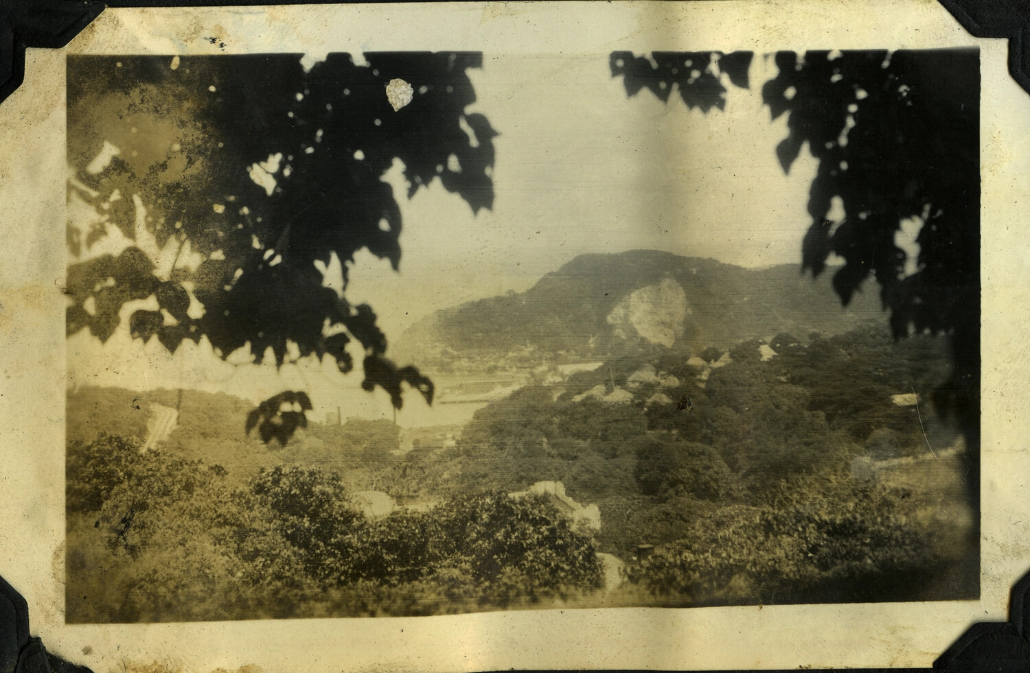 Scenic Valley and Harbor View Framed by Tree Branches, Philippines