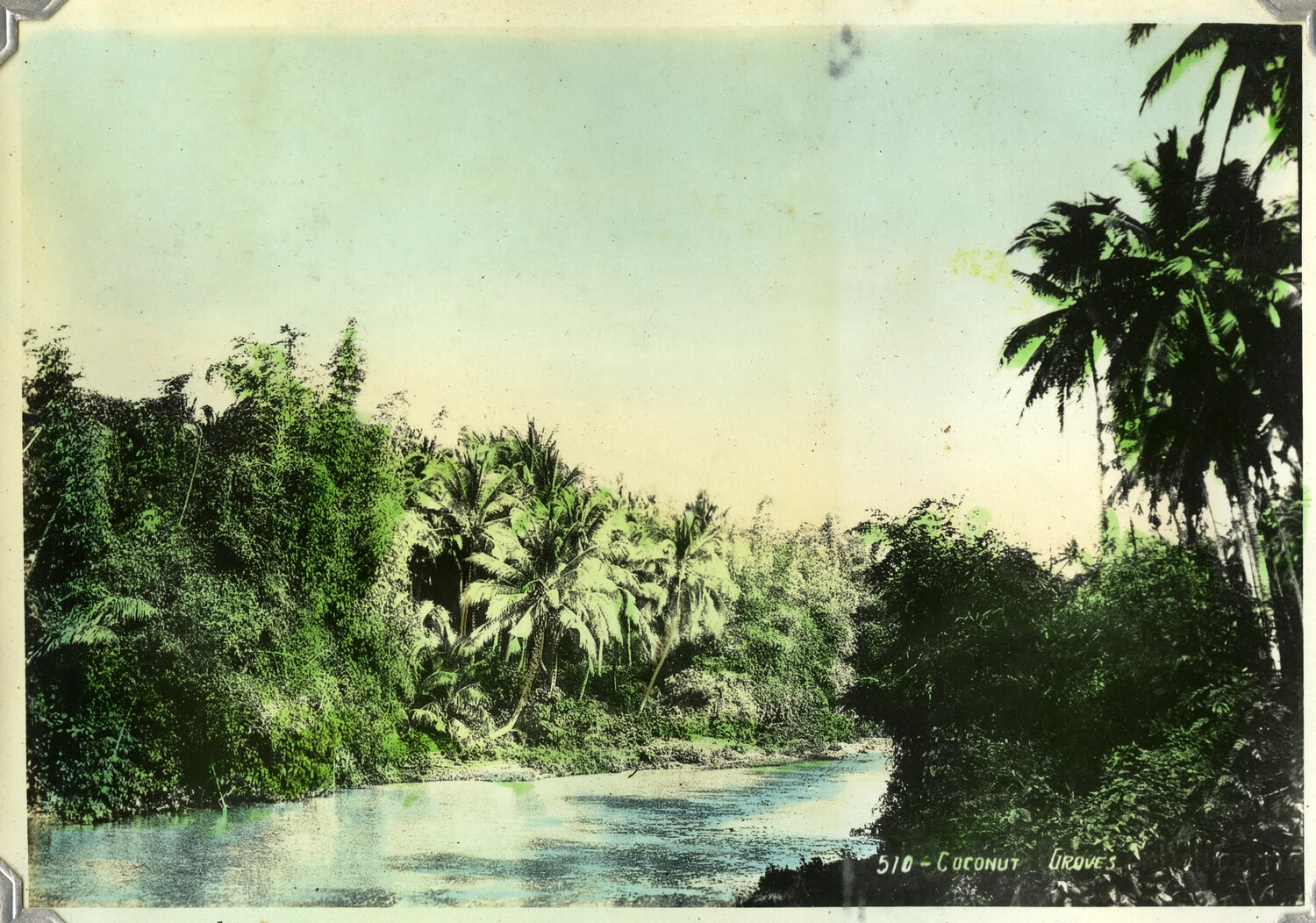 Coconut Groves Along a River, Philippines (Studio Photograph No. 510)