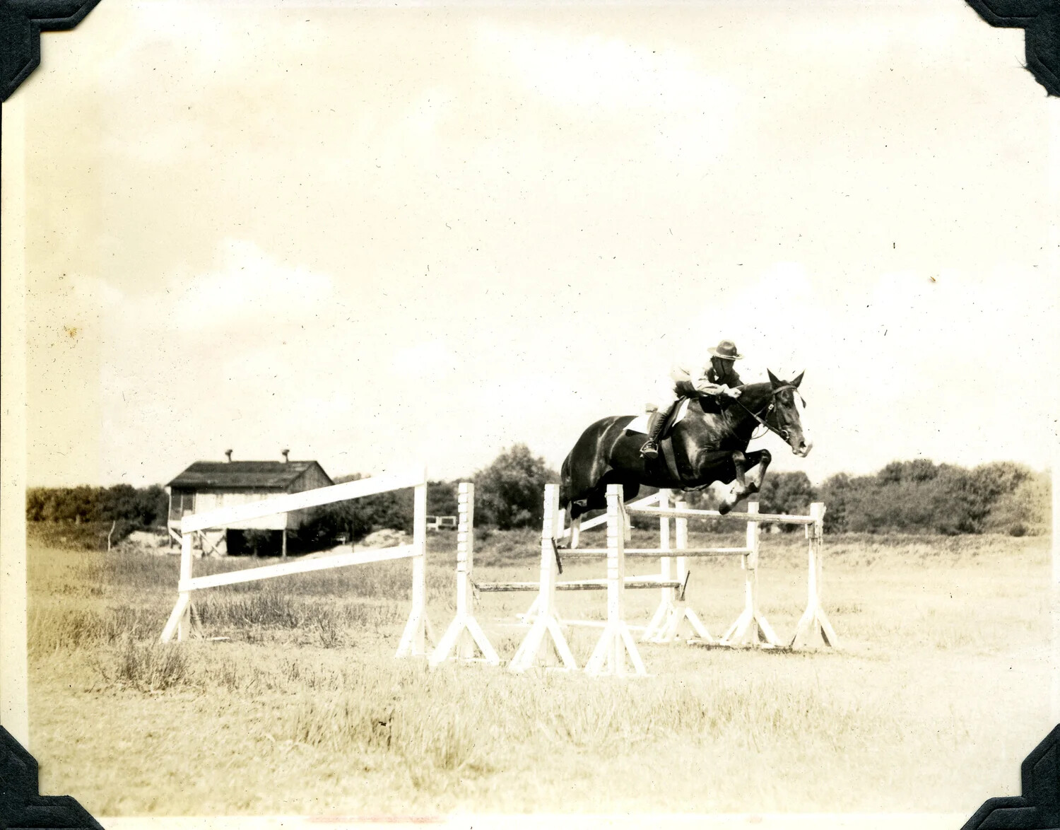 Equestrian Show Jumping Photograph, Jervey Family/Signal Corps Photo Album