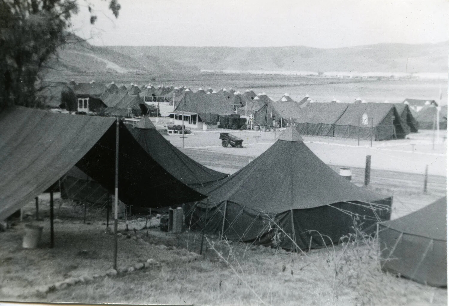 Marine Corps Tent Camp, VMF-214 Squadron Album, Pacific Theater, 1945