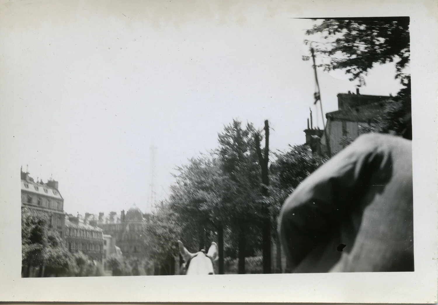 Paris Street Scene Viewed Past a Mule's Head, 44th Infantry Division, WWII Liberation Era