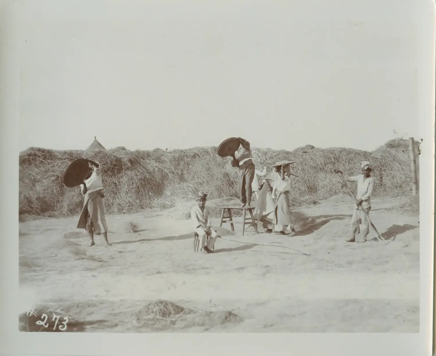Filipino Villagers with Winnowing Trays Near Straw Stack, Rural Philippines, c. 1898-1910